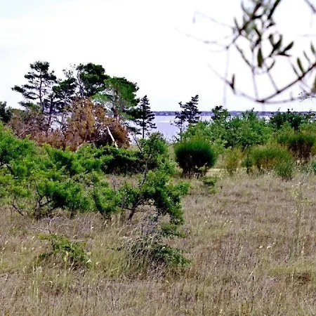 Snjeza - 80 M From Beach شقة فير